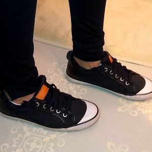 Coach shoes